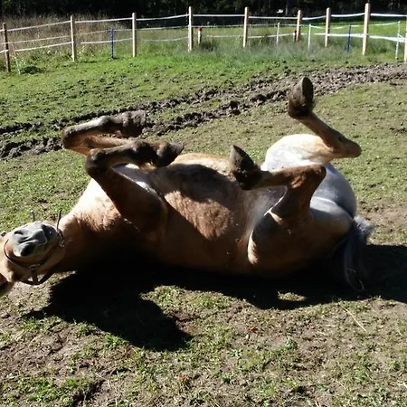 Gospodarstwo agroturystyczne Bauernhof-laimerhof