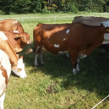 Bauernhof-laimerhof Gospodarstwo agroturystyczne Bad Aussee