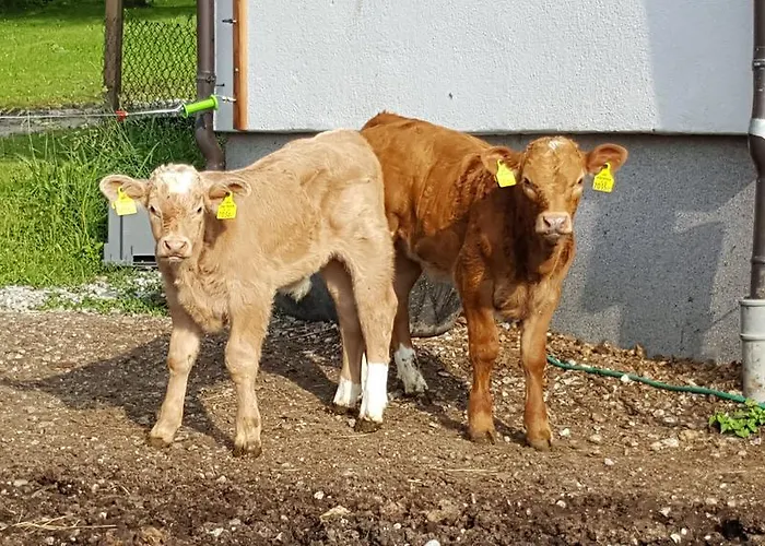 Lantgård Bauernhof-laimerhof *