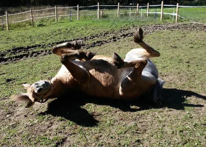 Farmház Bauernhof-laimerhof