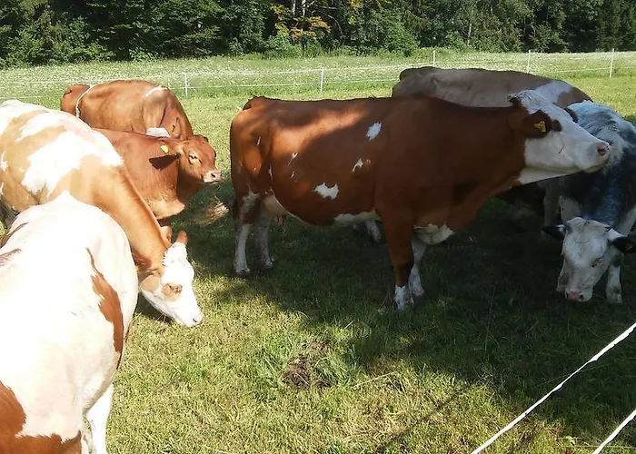 Bauernhof-laimerhof Farmház Bad Aussee